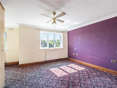 Picture 14